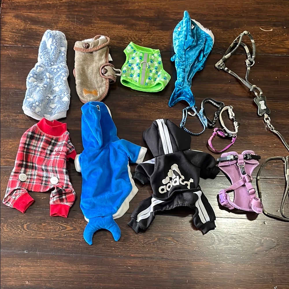 Little dog coat, pj, hoodie, costume and collar bundle.
